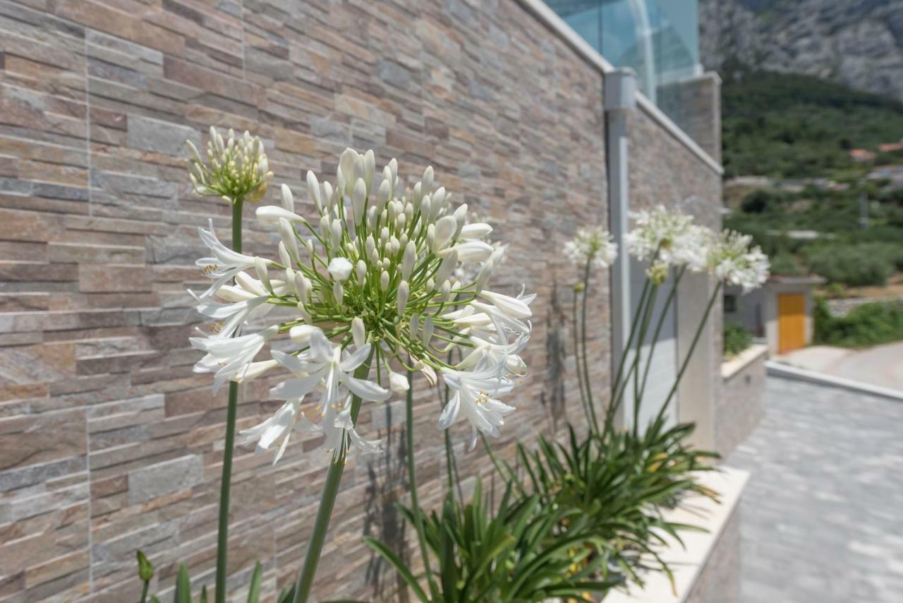 Villa Mila Makarska Exterior foto